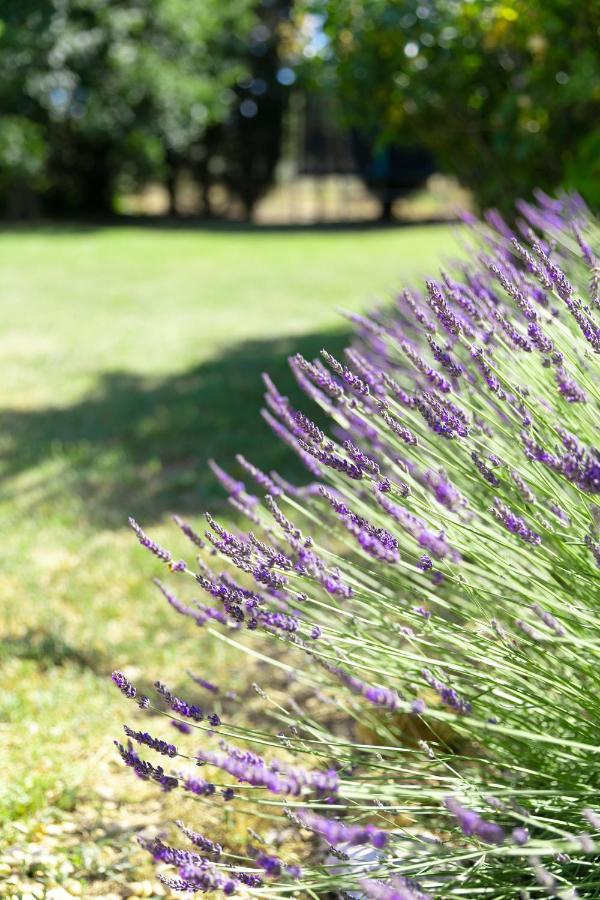 佩尔纳勒丰泰纳Mas Coeur De Provence Calme Luxe Grand Parc别墅 外观 照片