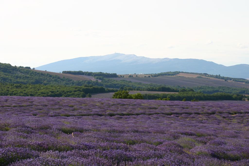佩尔纳勒丰泰纳Mas Coeur De Provence Calme Luxe Grand Parc别墅 客房 照片