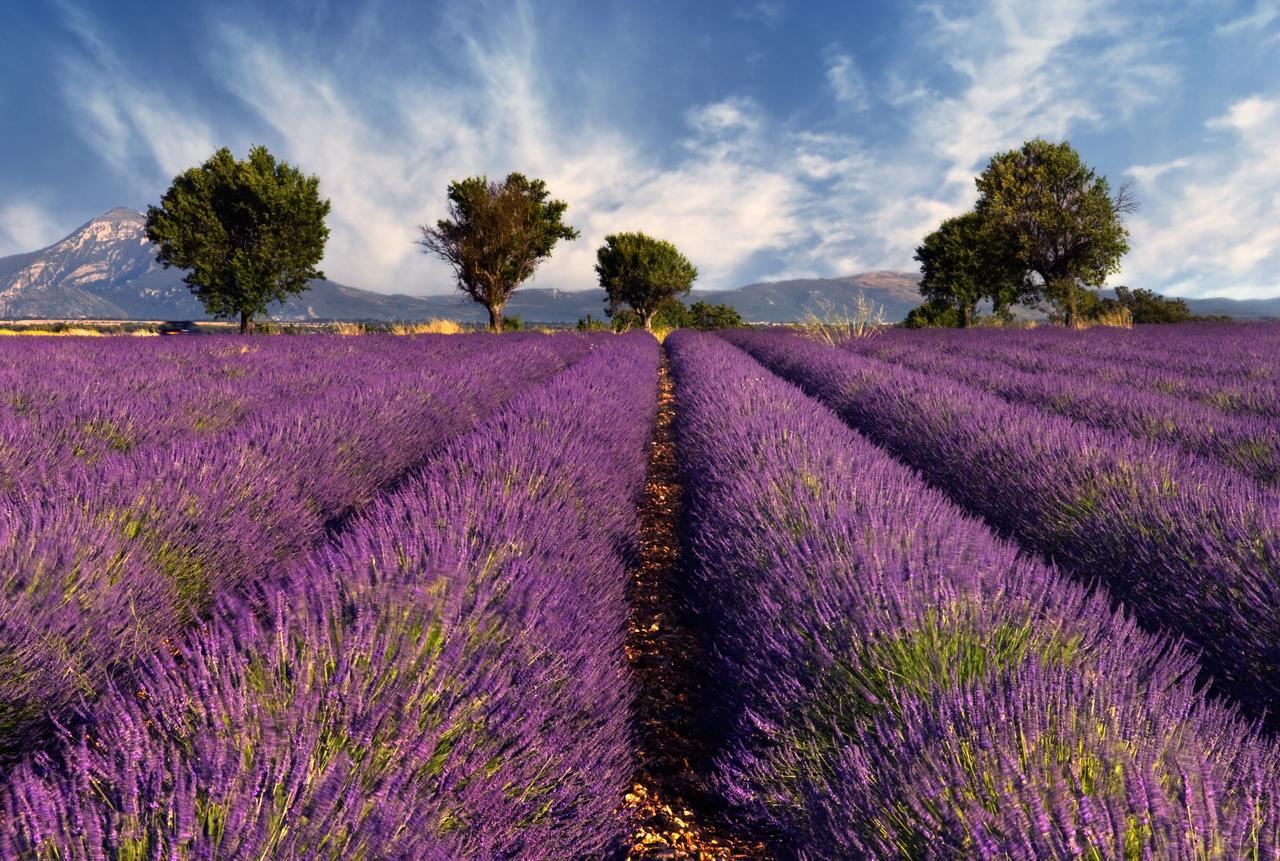 佩尔纳勒丰泰纳Mas Coeur De Provence Calme Luxe Grand Parc别墅 外观 照片
